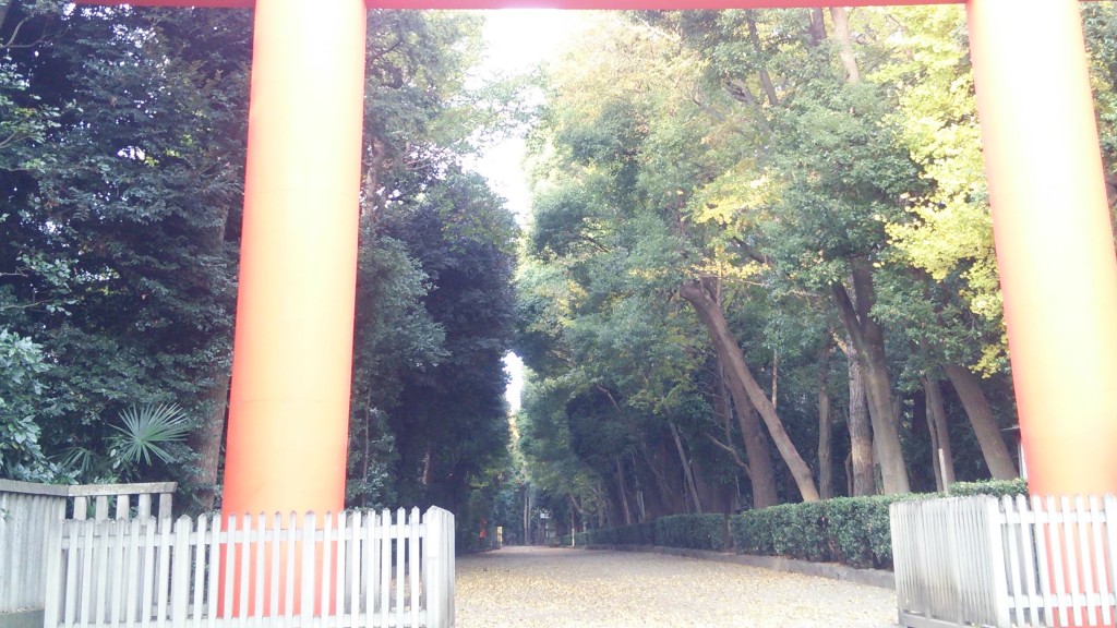 いつも参拝する神社