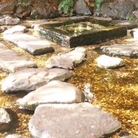 お茶の水の湧き水