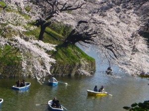 千鳥ヶ淵緑道_vol.1