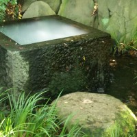 『神秘的な井戸』