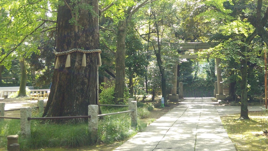 神苑なる境内