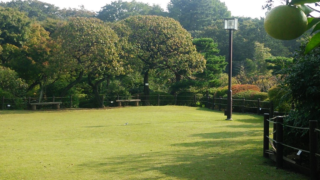 等々力渓谷の日本庭園